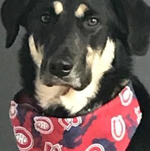 Meet your Posher, John